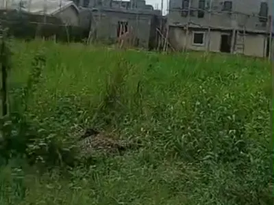 4 Plots of Buy and Build Land Suitable for Hotel, Shopping Mall, School — Ibeju Lekki, Lagos