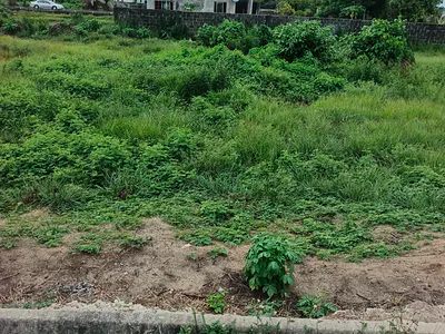 450SQM Land