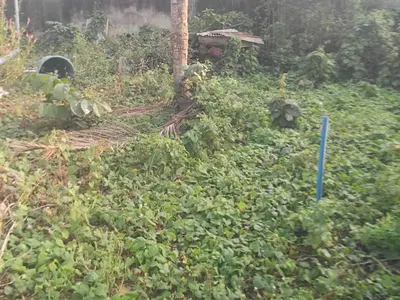 Full Plot of Land Measuring Approximately 60FT by 120FT