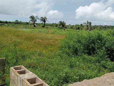Investment Opportunity, Table Land of 10 Acres of Land with Excision,