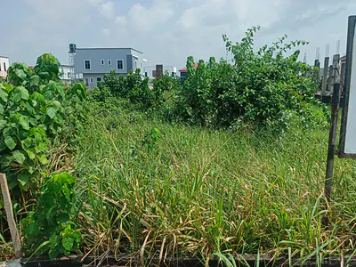 741SQM Residential Bareland for Sale