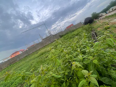 2000SQM of Residential Land — Katampe Main FCT, Katampe (Main), Katampe, Abuja
