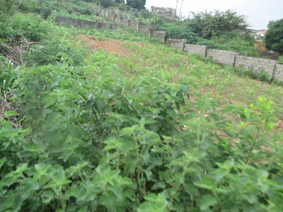 798.78 SQM Sharp Land in Guzape2 with C of O