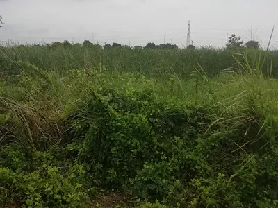 A Commercial Land Measuring 4050SQM — Ikorodu Road, Asolo Bus-Stop, Ogolonto Traffic Light, Ikorodu, Lagos