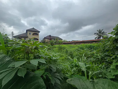 Strategic Fenced & Gated Buildable 1 Plot of Land with Cofo