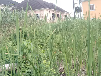 High-Discount Land Sale -- Ajah, Lagos!