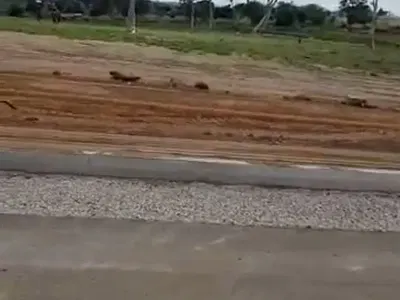 100.99hectares in Apo Wasa on a Tarred Road