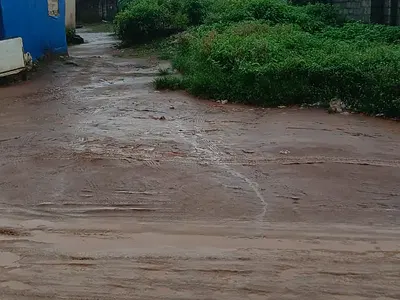Half Plot of Land
