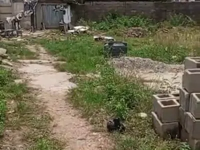 Premium 3 and Half Plots of Land