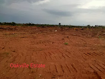Estate Land