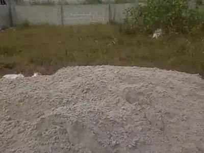 450SQMS of Land