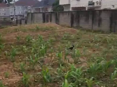600SQM, Residential, Fcda R of O, Tarred Road