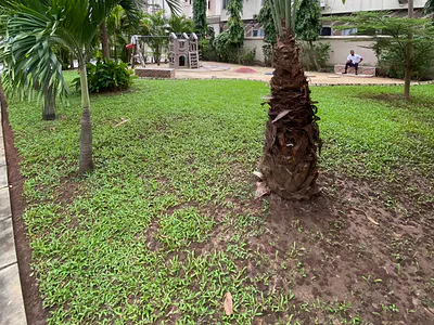 3000SQM of Parcel Land