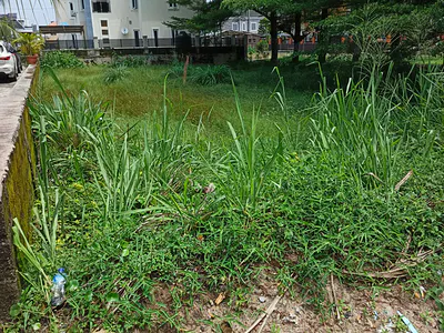 600SQM Residential Bareland for Sale