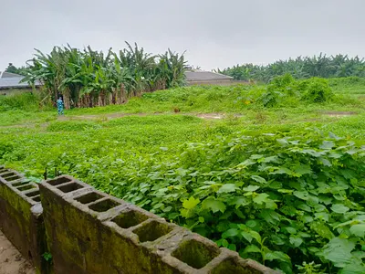 Half Plot for Sale