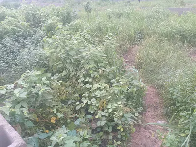 Strategically Located Plot of Land Available