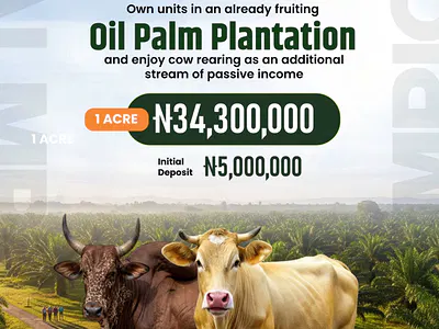 Palmrich Phase 5 Iwo Road