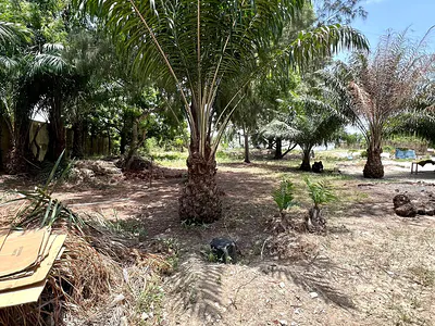 2, 000SQM Corner Piece Land for Sale