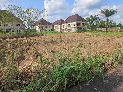 Estate Land with Cofo
