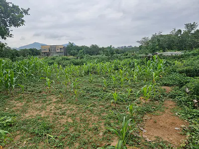 625SQM Residential Land