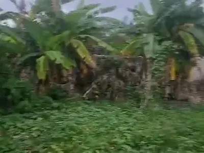 248SQM of Land in a Gated and Secured Estate