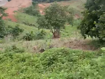 4.38 Hectares Land
