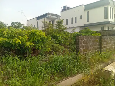 Standard Plot of Land