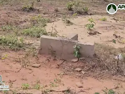 Estate Land