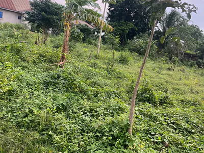 Standard Plot of Land with Two Side Fence