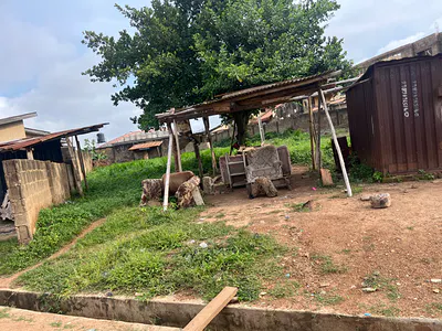 One and Half Plot of Land
