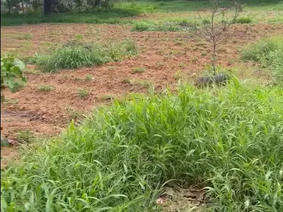 Prime Residential Land