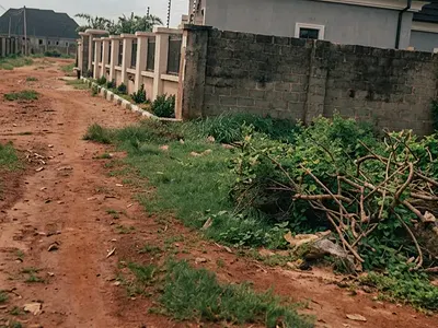 50 X 100 Open Land