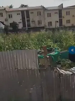 Good Land
