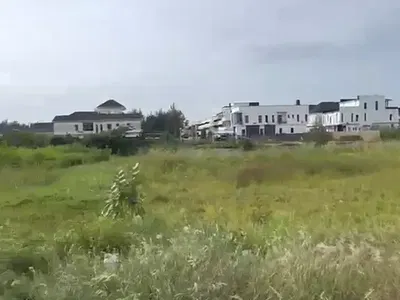 Dry Land