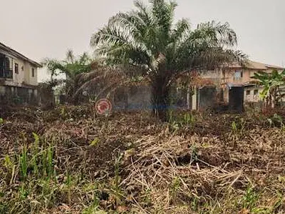 660SQM, One Plot of Land