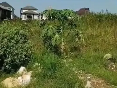 Land Measuring 2, 400SQM [half Could Be Sold]