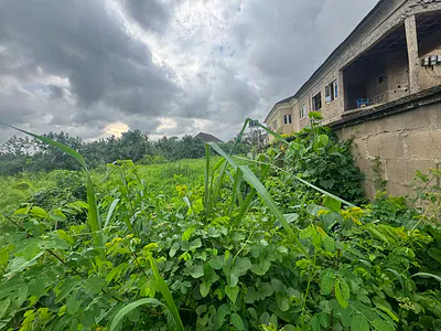 An Empty Land