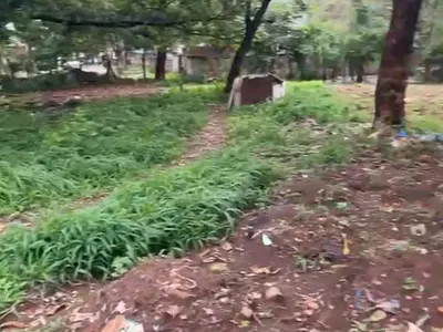 1813SQM Land