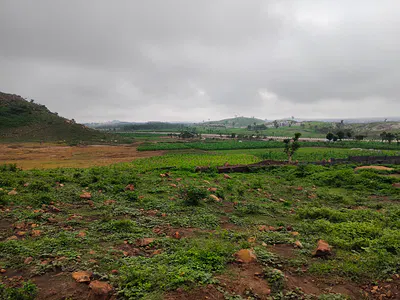 Estate Plot