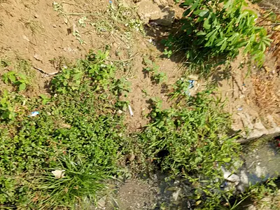 Dry and Premium 2 Plot of Land