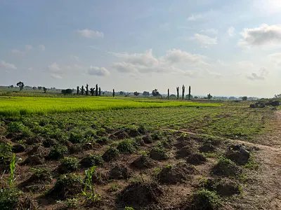 Residential Plot