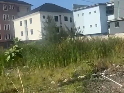 Ikoyi 2nd Avenue Land Sales