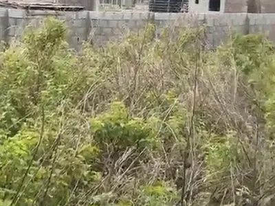 Residential Land with R of O, Fcda Approved