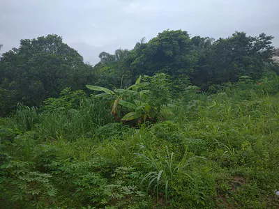 2 Plots of Land Available