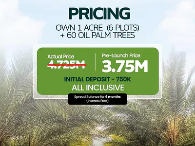 Own a Plantation with Flexible Payment Option