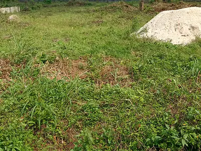 Buy and Build Land for Sale