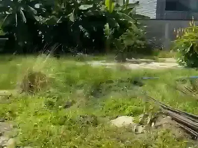 4 Plots of Land