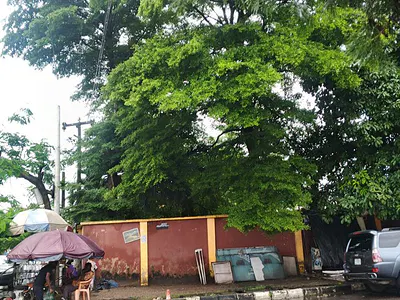 950 Square Meter Land