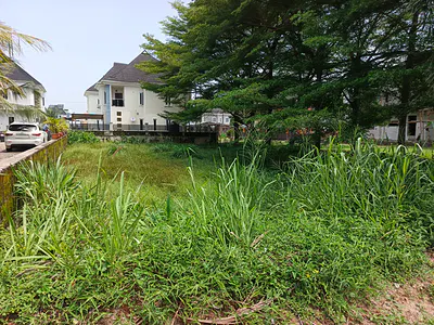 492SQM Serviced Bareland