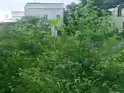 1500SQM Vacant and Portable Land